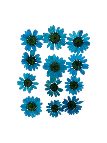 DAISY FLOWER - ANTIQUE BLUE