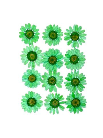 DAISY FLOWER - EMERALD GREEN