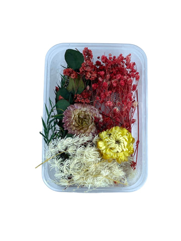 DRY FLOWER BOX (F)