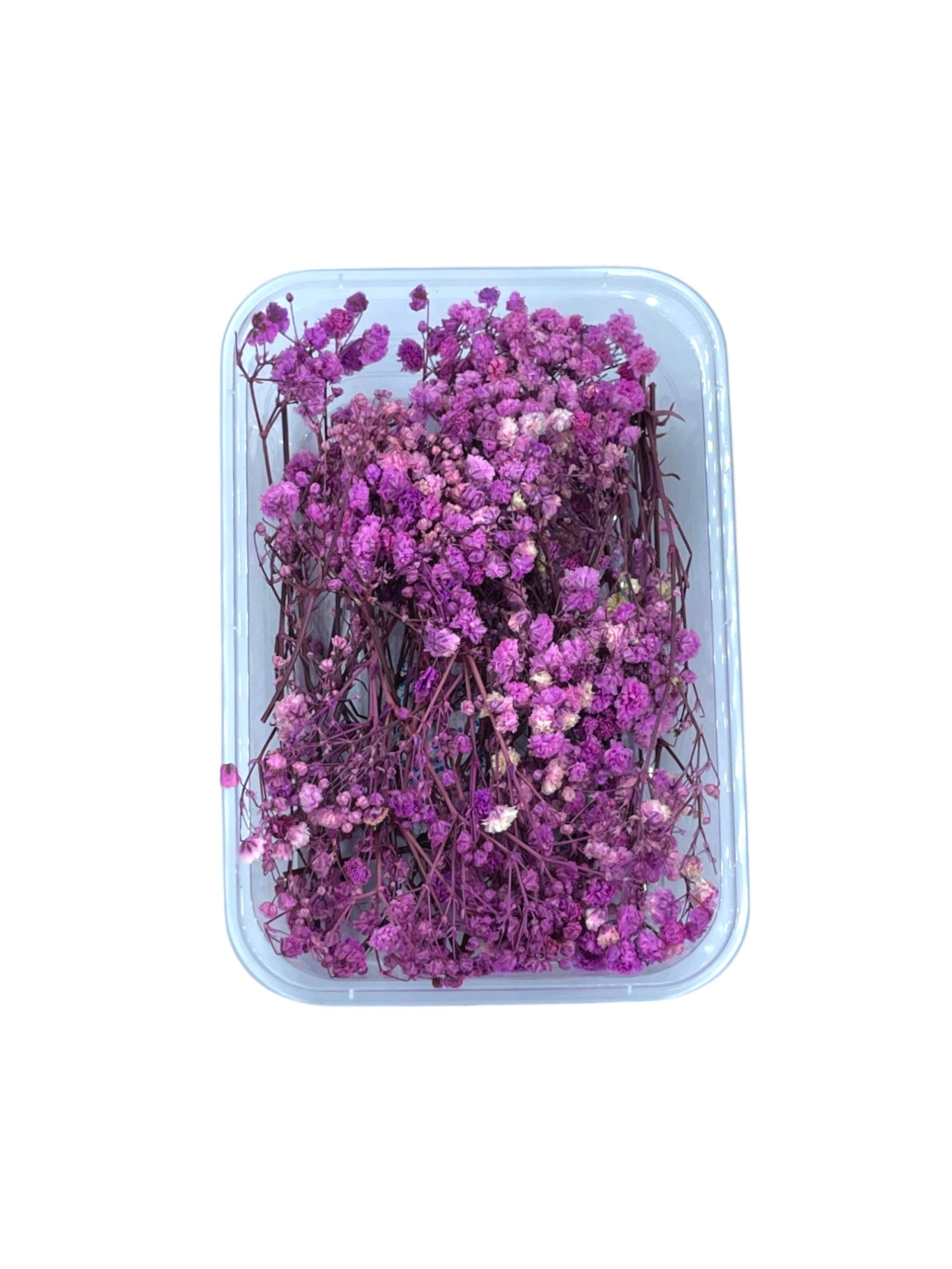 GYPSY DRY FLOWER BOX (PURPLE)