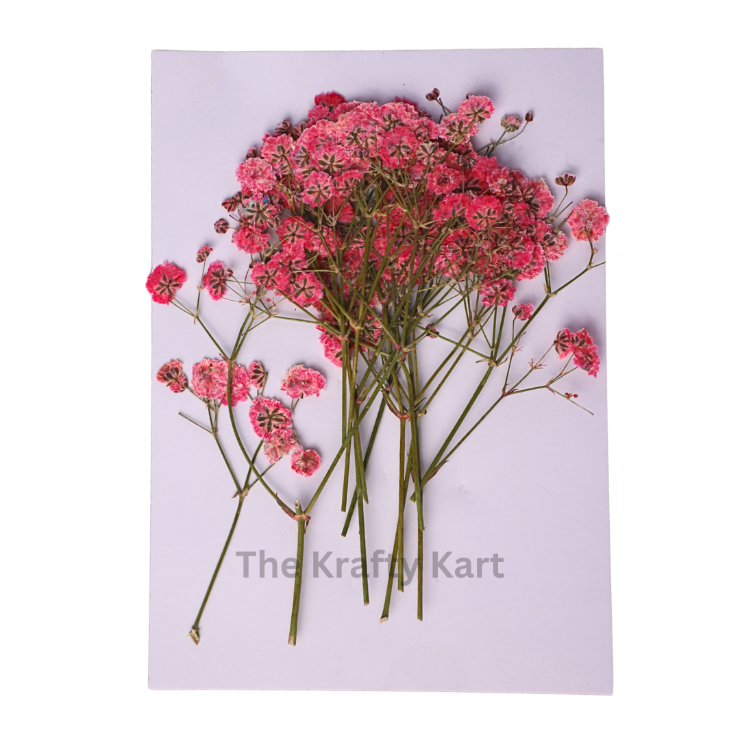 Small pressed pink baby's breath flowers for resin art